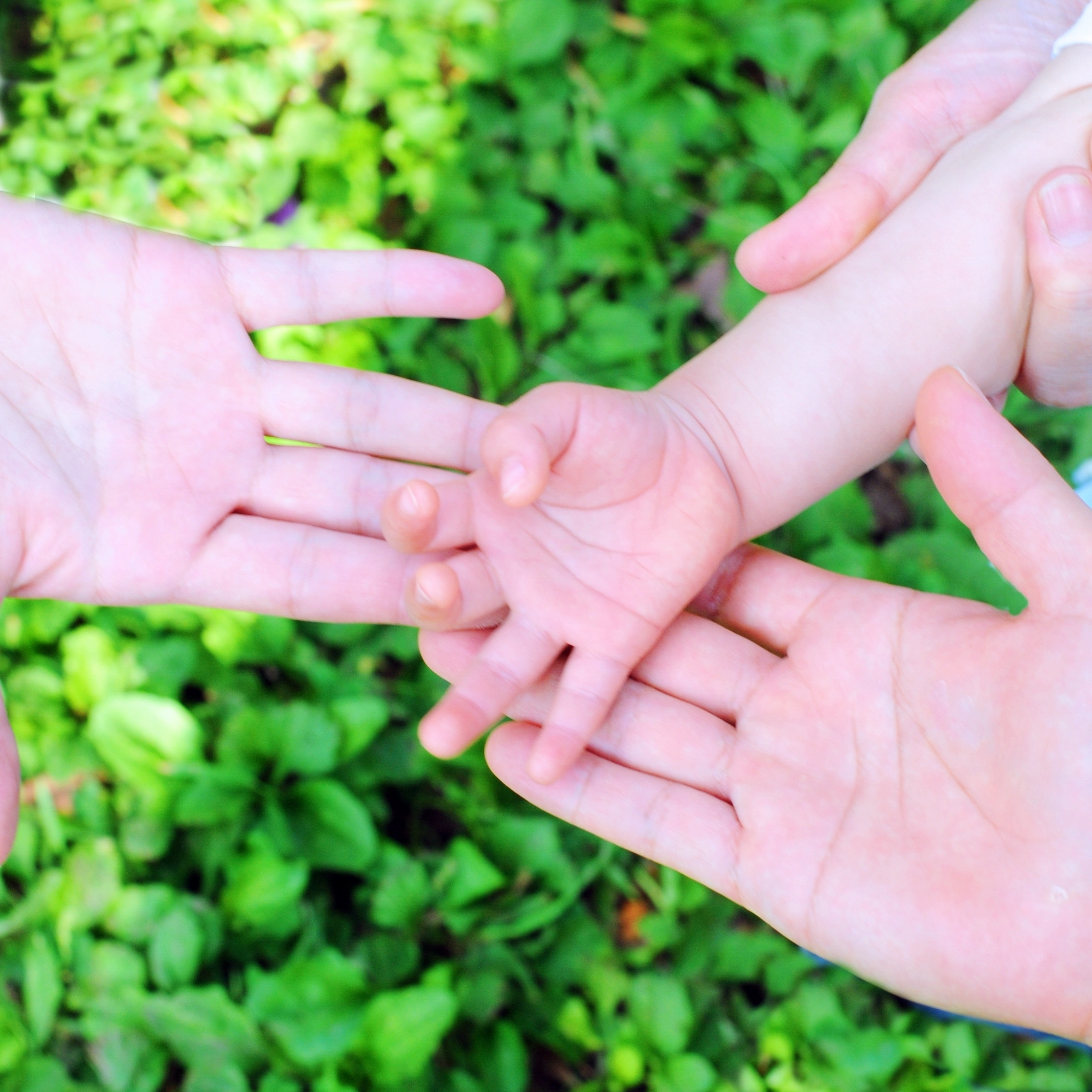 家族写真　3人の手